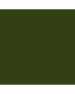R&F Pigment Stick - 100ml - Green Earth