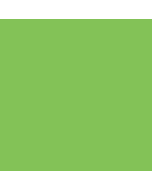 Copic Classic - YG09 - Lettuce Green