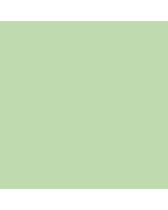 R&F Pigment Stick - 100ml - Celadon Green