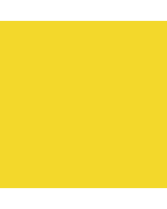 Williamsburg Handmade Oil Paint 37ml - Bismuth Vandate Yellow