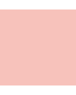 Copic Sketch - RV42 - Salmon Pink