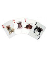 Kikkerland Designs - 3D Cat Cards