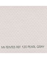 Canson Mi-Teintes Sheet 19x25 - Pearl Gray #120