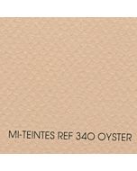 Canson Mi-Teintes Sheet 19x25 - Oyster #340
