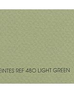 Canson Mi-Teintes Sheet 8.5x11" - Light Green #480