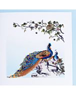 Quilling Card - Peacock