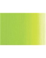Sennelier Artists' Oil Paints-Extra-Fine 40ml Tube - Permanent Yellow Green